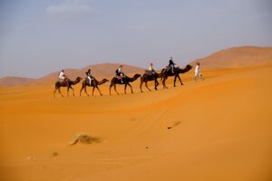 Viajantes percorrendo o deserto do Saara a camelo (Marrocos)